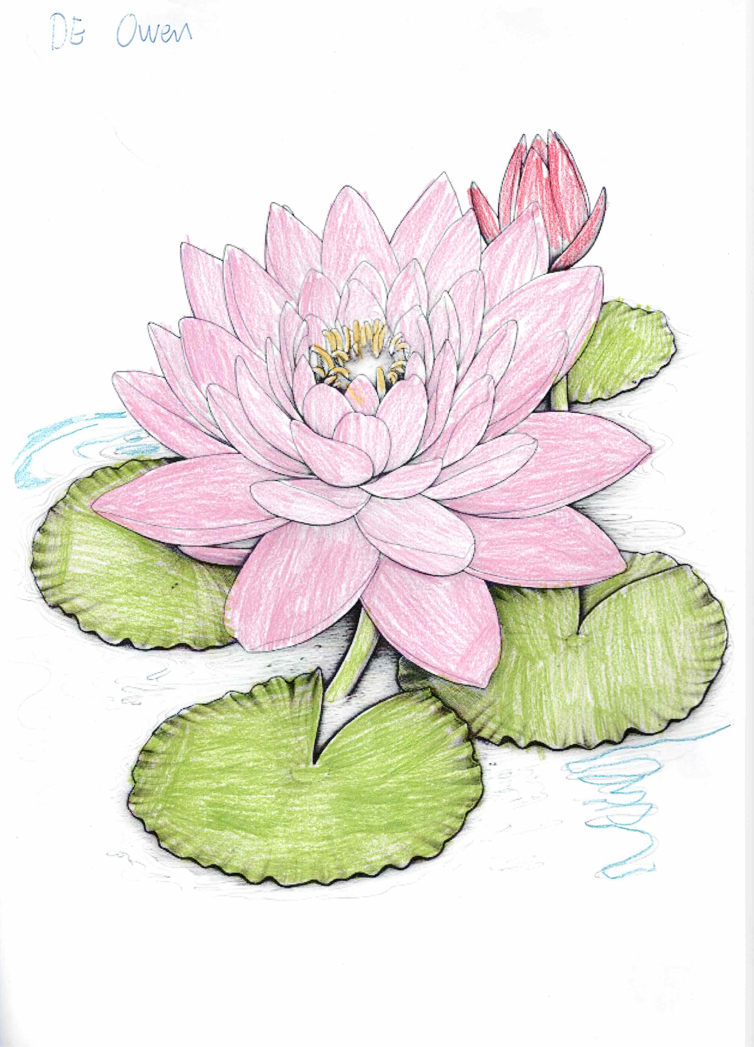 Segunda obra by Owen